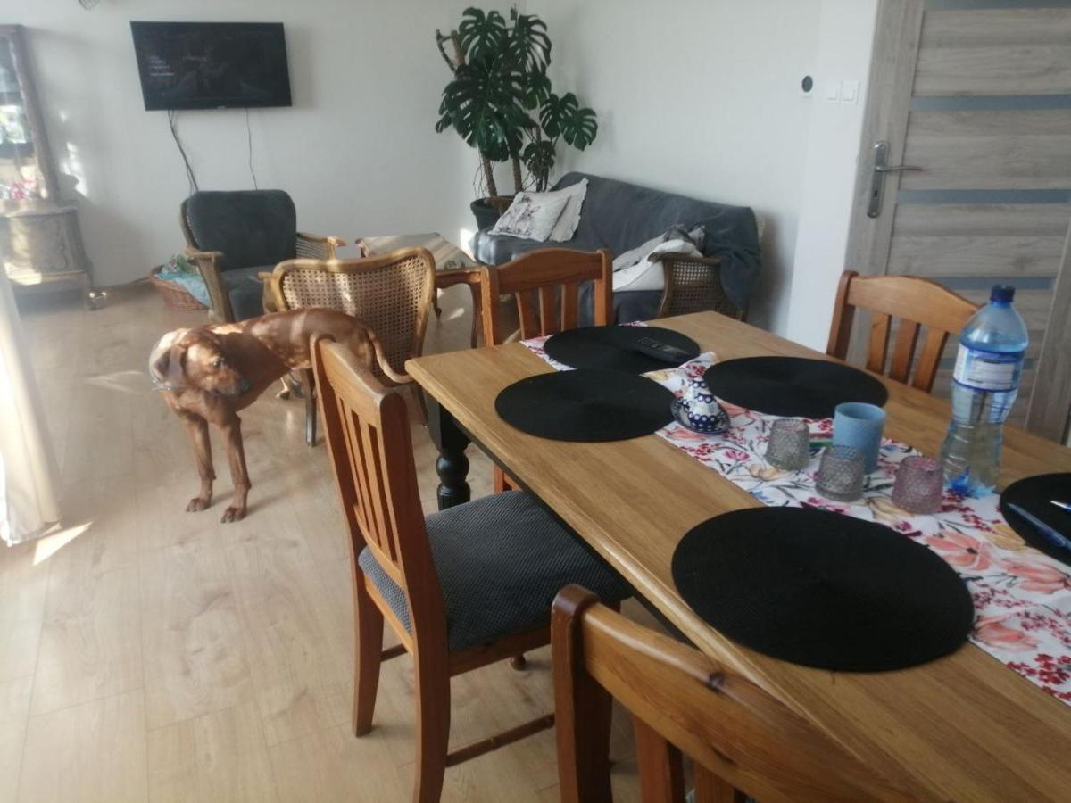 Husarska Apartment