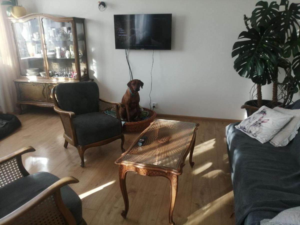 Apartment Husarska