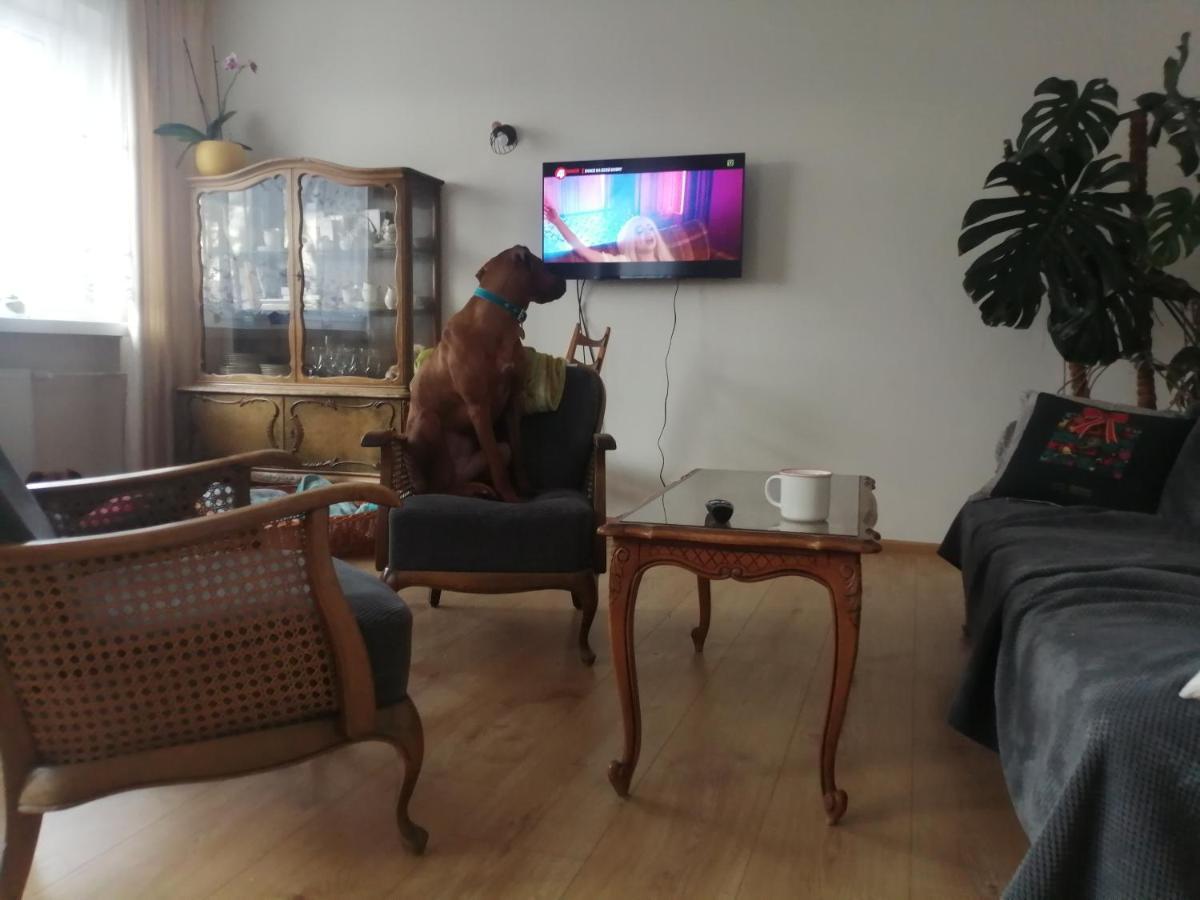 Apartment Husarska